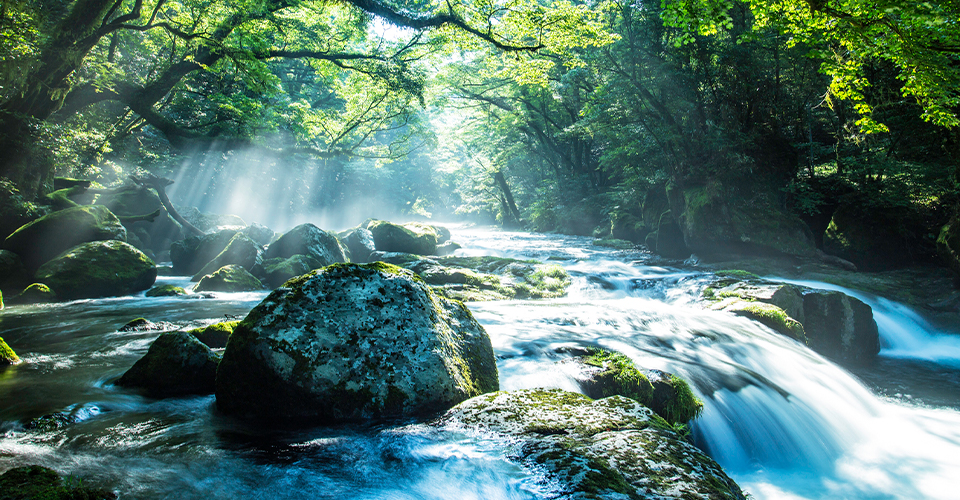 Hidden gems in Kumamoto